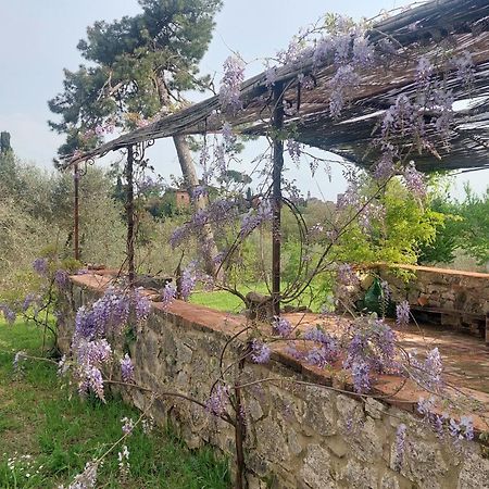 Casa Ezio Marchi Bed and Breakfast Bettolle Εξωτερικό φωτογραφία