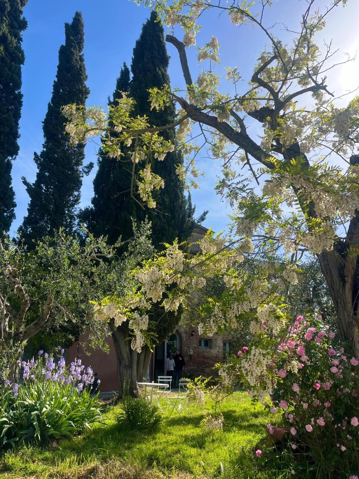 Casa Ezio Marchi Bed and Breakfast Bettolle Εξωτερικό φωτογραφία