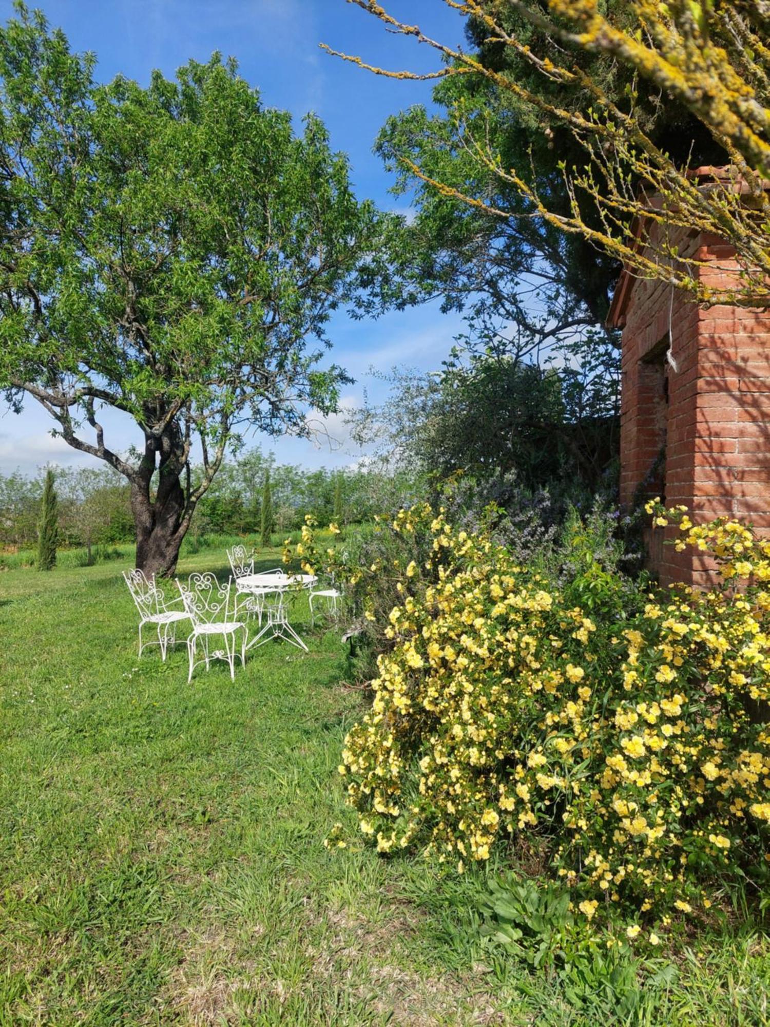 Casa Ezio Marchi Bed and Breakfast Bettolle Εξωτερικό φωτογραφία