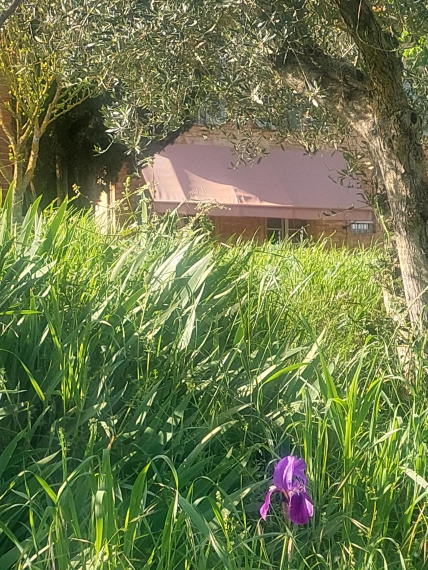 Casa Ezio Marchi Bed and Breakfast Bettolle Εξωτερικό φωτογραφία